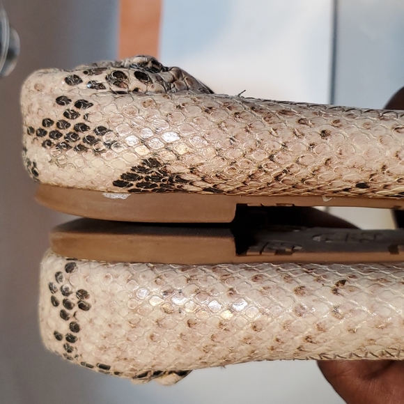 Tory Burch Reva Python skin leather Flats - Picture 13 of 16